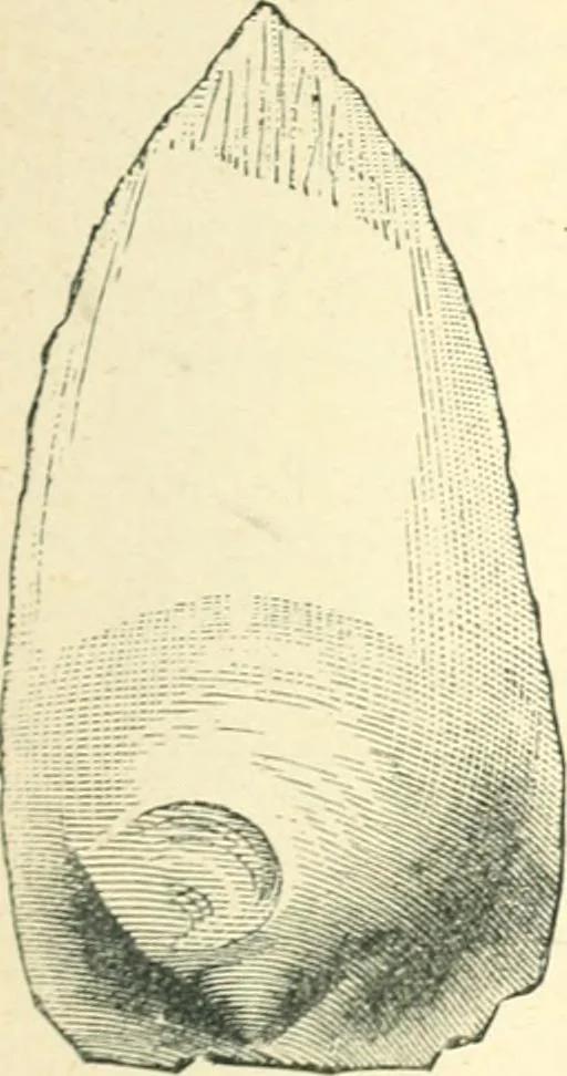 An illustration from Man before metals, 1902, leaf 38