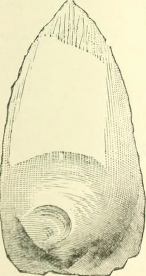 An illustration from Man before metals, 1902, leaf 80