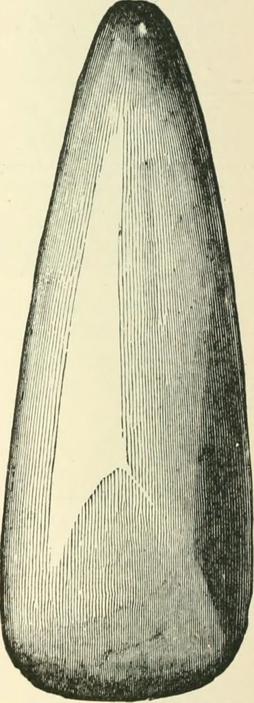 An illustration from Man before metals, 1902, leaf 81