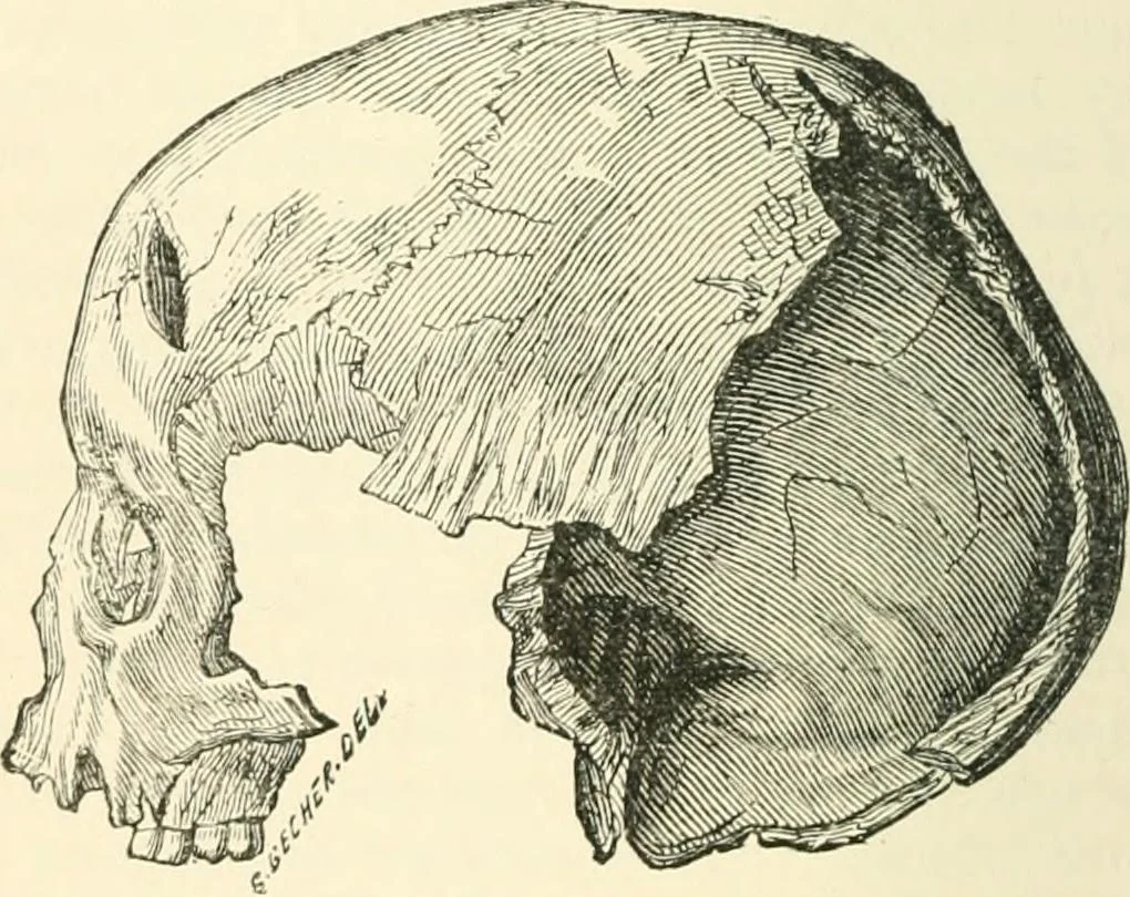 An illustration from Man before metals, 1902, leaf 95