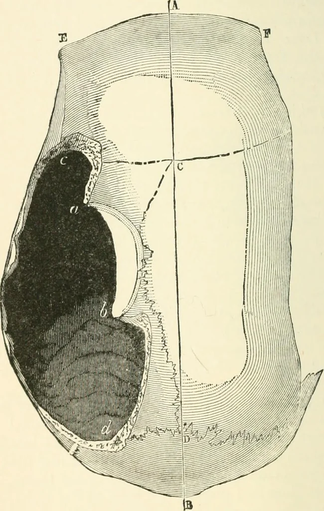 An illustration from Man before metals, 1902, leaf 97