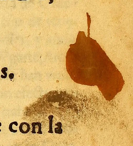 An illustration from Mandó que se imprimiesse este escrito el Excelentmo. senor Conde de Alva de Aliste, y de Villaflor, grande de Castilla: virrey destos Reynos del Peru. En la Iunta, que se ha formado, por cedula de Su Magestad, de 216. de setiembre de 1660 años. Para conferir las materias y puntos de la carta, que con la cedula referida se remite, cerca de la enseñanza y buen tratamiento de los indios, 1661, leaf 5