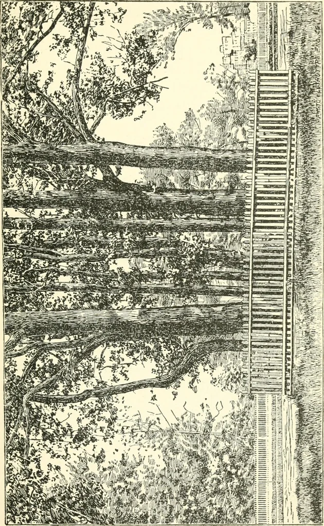 An illustration from Manhattan: historic and artistic; a six day tour of New York city;, 1892, leaf 150