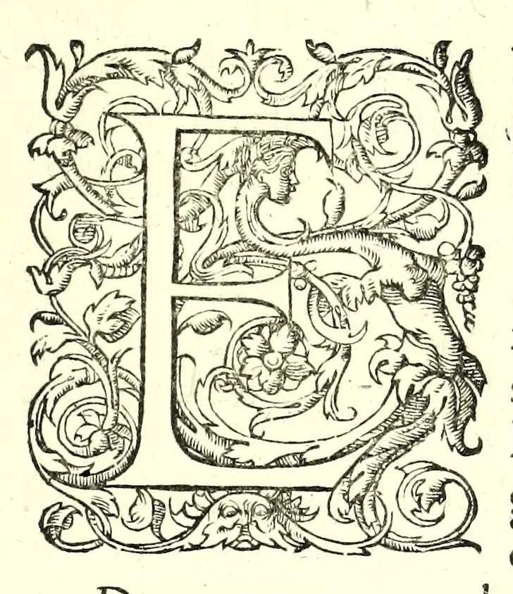 An illustration from Maniere de bastir : pour touttes sortes de personnes, 1623, leaf 11