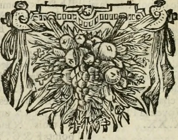 An illustration from Maniere de fortifier de Mr. de Vauban : où l'on voit de quelle méthode on se sert aujourd'hui en France, pour la fortification des places tant régulieres qu'irréguliers : en quoi cette méthode differe des autres, &c. : avec un traité de geometrie qu'on a mis à la tête, pour avoir une parfaite intelligence des fortifications, 1689, leaf 151