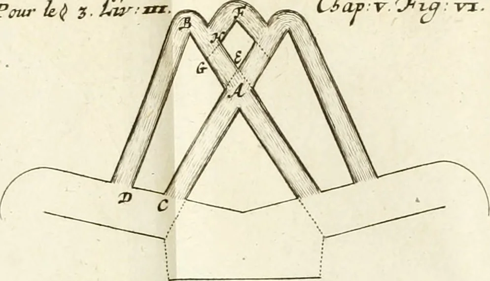 An illustration from Maniere de fortifier de Mr. de Vauban : où l'on voit de quelle méthode on se sert aujourd'hui en France, pour la fortification des places tant régulieres qu'irréguliers : en quoi cette méthode differe des autres, &c. : avec un traité de geometrie qu'on a mis à la tête, pour avoir une parfaite intelligence des fortifications, 1689, leaf 206