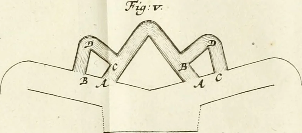 An illustration from Maniere de fortifier de Mr. de Vauban : où l'on voit de quelle méthode on se sert aujourd'hui en France, pour la fortification des places tant régulieres qu'irréguliers : en quoi cette méthode differe des autres, &c. : avec un traité de geometrie qu'on a mis à la tête, pour avoir une parfaite intelligence des fortifications, 1689, leaf 206