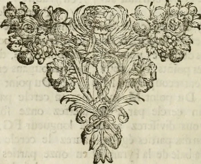 An illustration from Maniere de fortifier de Mr. de Vauban : où l'on voit de quelle méthode on se sert aujourd'hui en France, pour la fortification des places tant régulieres qu'irréguliers : en quoi cette méthode differe des autres, &c. : avec un traité de geometrie qu'on a mis à la tête, pour avoir une parfaite intelligence des fortifications, 1689, leaf 37