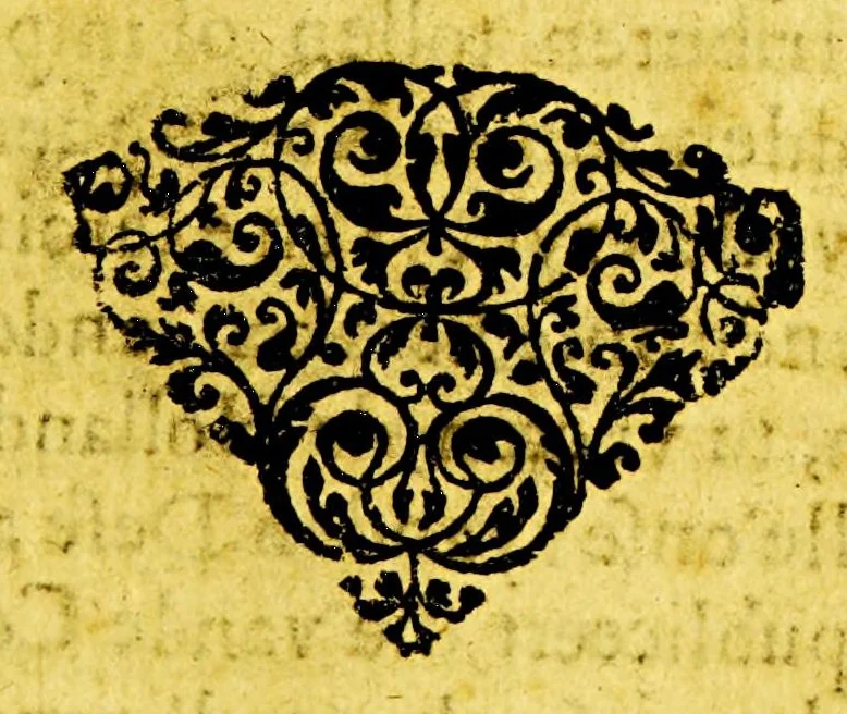 An illustration from Manifest door d'inwoonders van Parnambuco uytghegeven tot hun verantwoordinghe op 't aennemen der wapenen teghens de West-Indische Compagnie; : ghedirigeert aen alle Christene Princen, ende besonderlijck aen de Hoogh-Mo. HH. Staten Generael van de vereenighde Nederlanden. : Ghedruckt ende uyt het Portughies overgheset in onse Nederduytsche tale, 1646, leaf 9