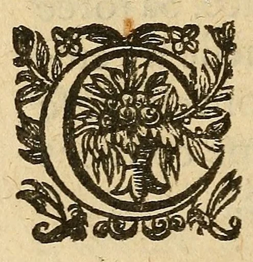 An illustration from Manifeste de ce qui se passa dernierement aux Estats generaux, entre le clerge & le Tiers Estat : Congregamini super montes Samariae, et videte insanias multas in medio eius, & calumniam patientes in penetralibus eius. Amos. 3, 1615, leaf 14