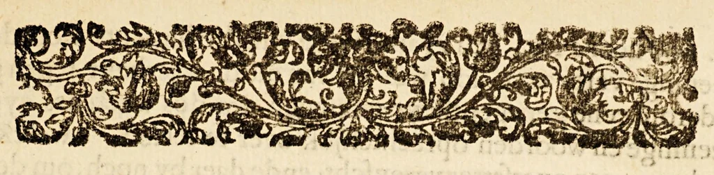 An illustration from Manifest, ofte reden van den oorlogh tusschen Portugael, ende de Vereenichde Provintien van de Nederlanden, met de aenwijsinge vande oorsaeck waer uyt die ontstaen is., 1659, leaf 7