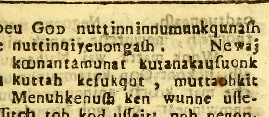 An illustration from Manitowompae pomantamoonk sampwshanau Christianoh uttoh woh an pomantog wnssikkitteahonat [sic] God, 1665, leaf 145