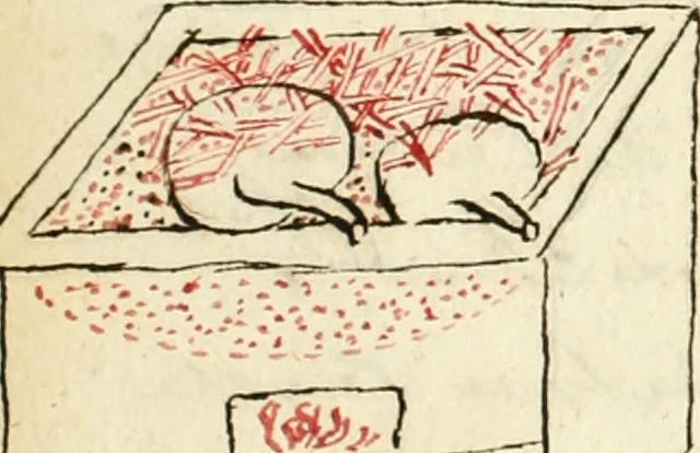 An illustration from Manly Palmer Hall collection of alchemical manuscripts, 1500-1825, 1600, leaf 43