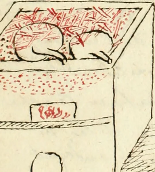 An illustration from Manly Palmer Hall collection of alchemical manuscripts, 1500-1825, 1600, leaf 44