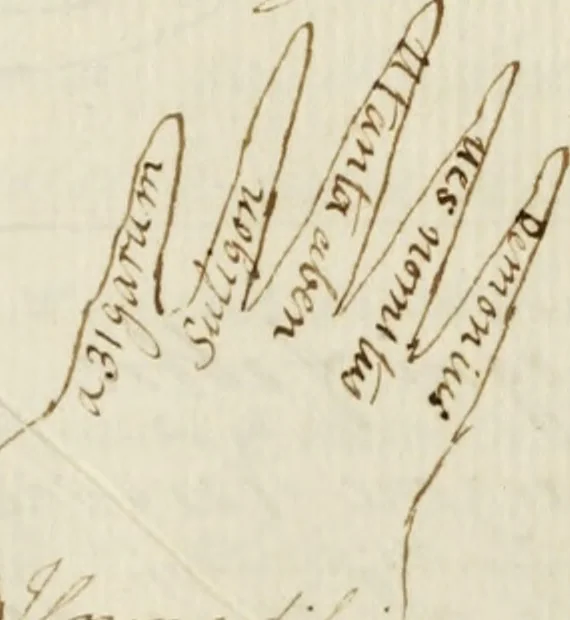 An illustration from Manly Palmer Hall collection of alchemical manuscripts, 1500-1825, 1600, leaf 246