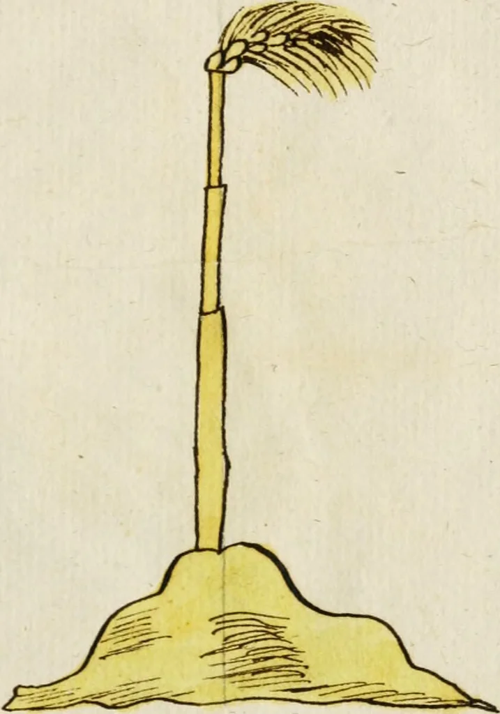 An illustration from Manly Palmer Hall collection of alchemical manuscripts, 1500-1825, 1600, leaf 41
