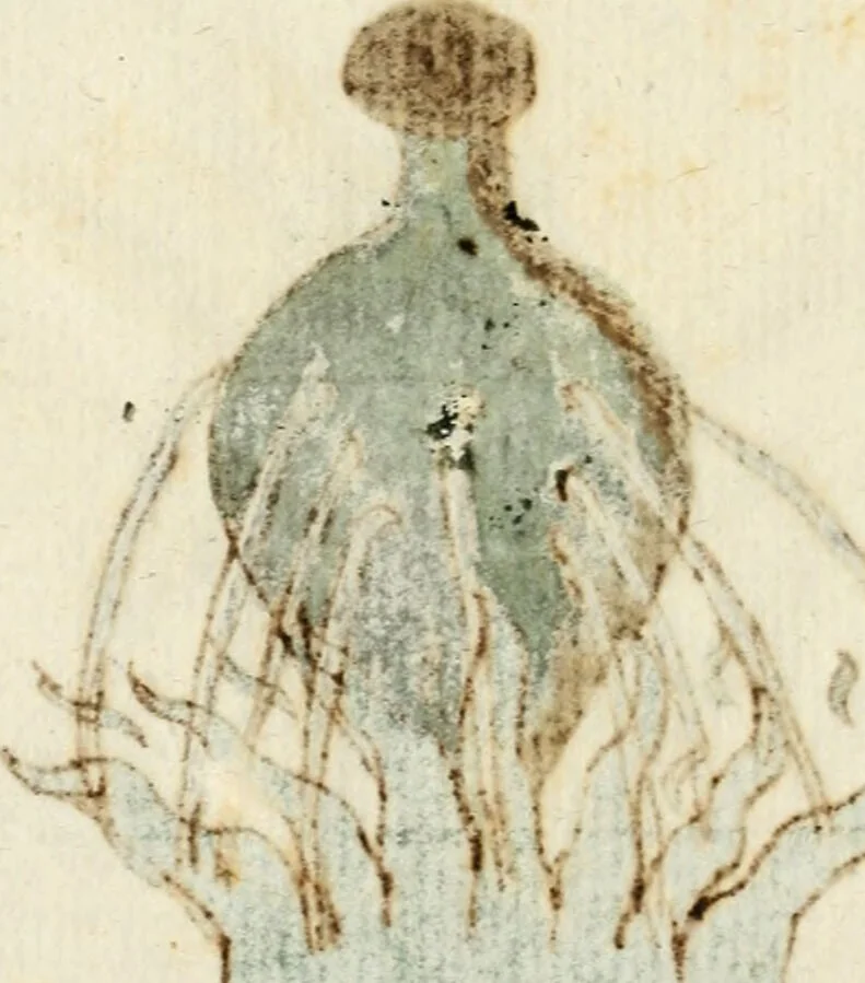 An illustration from Manly Palmer Hall collection of alchemical manuscripts, 1500-1825, 1600, leaf 50