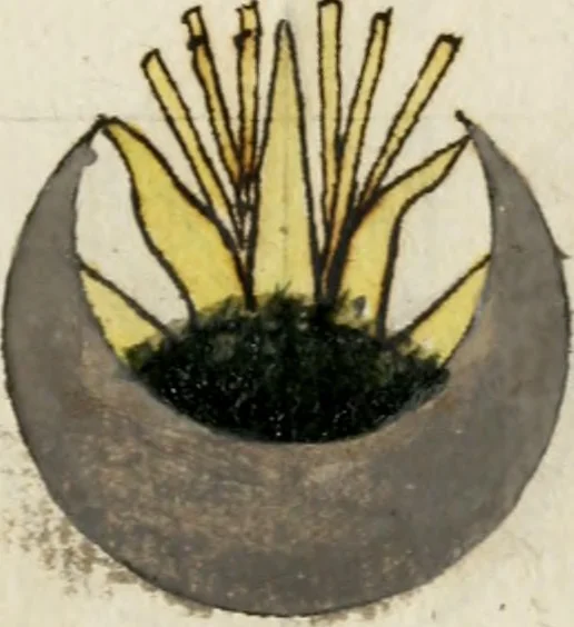 An illustration from Manly Palmer Hall collection of alchemical manuscripts, 1500-1825, 1600, leaf 52