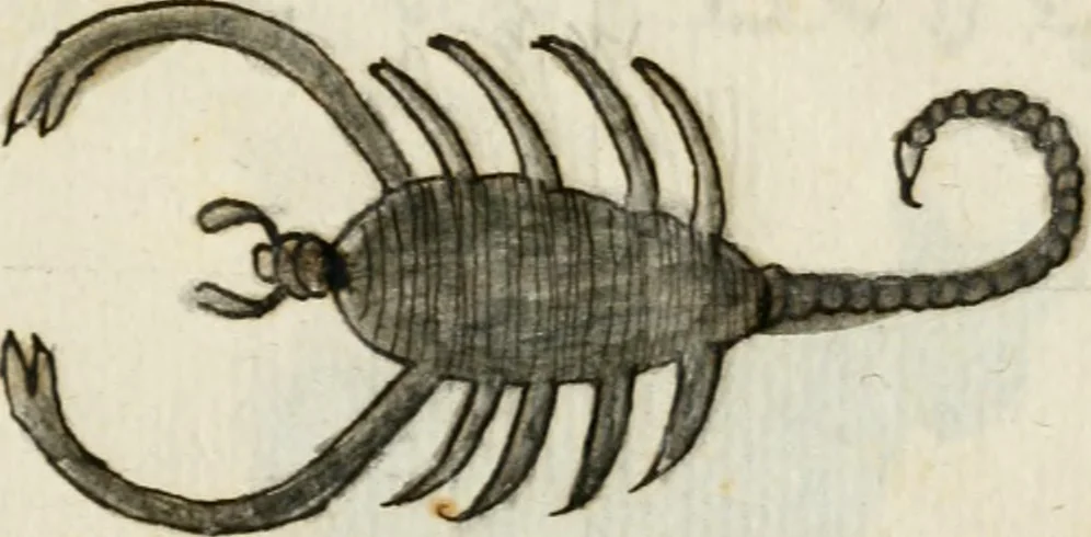 An illustration from Manly Palmer Hall collection of alchemical manuscripts, 1500-1825, 1600, leaf 58