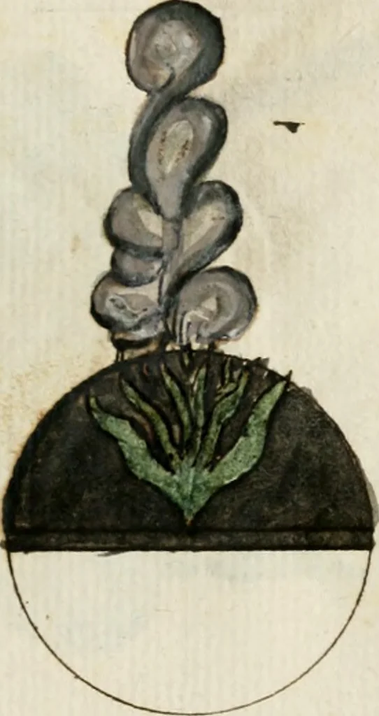 An illustration from Manly Palmer Hall collection of alchemical manuscripts, 1500-1825, 1600, leaf 62