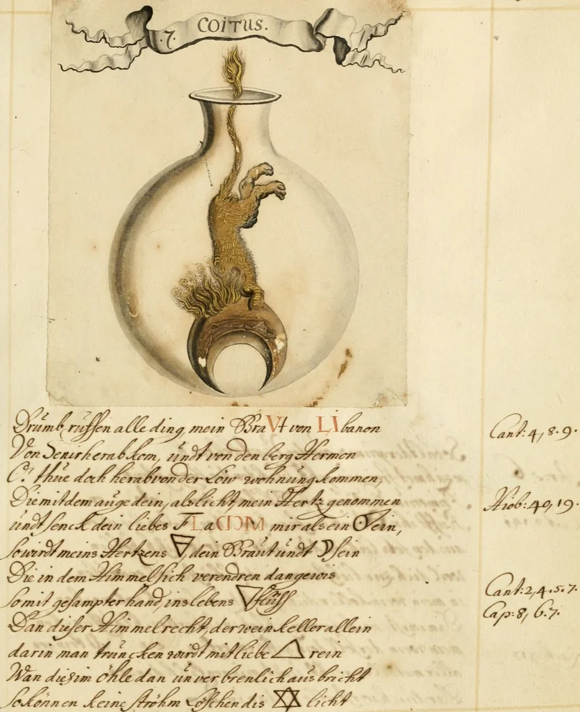 An illustration from Manly Palmer Hall collection of alchemical manuscripts, 1500-1825, 1600, leaf 69