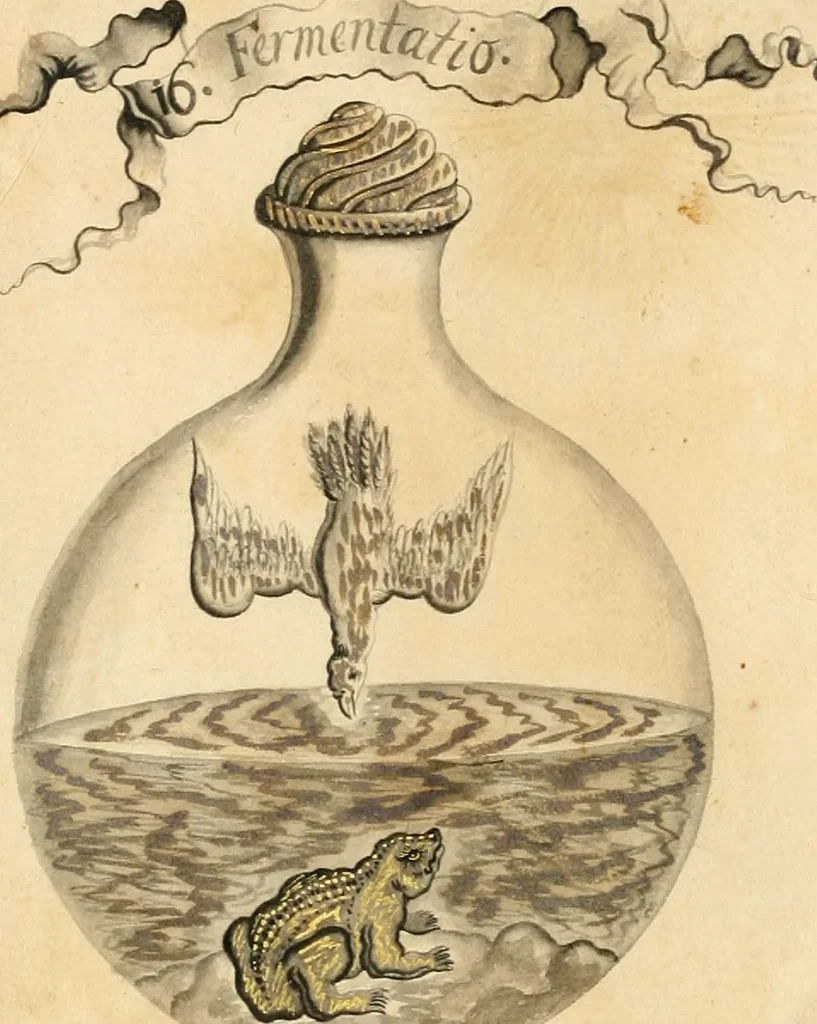 An illustration from Manly Palmer Hall collection of alchemical manuscripts, 1500-1825, 1600, leaf 73