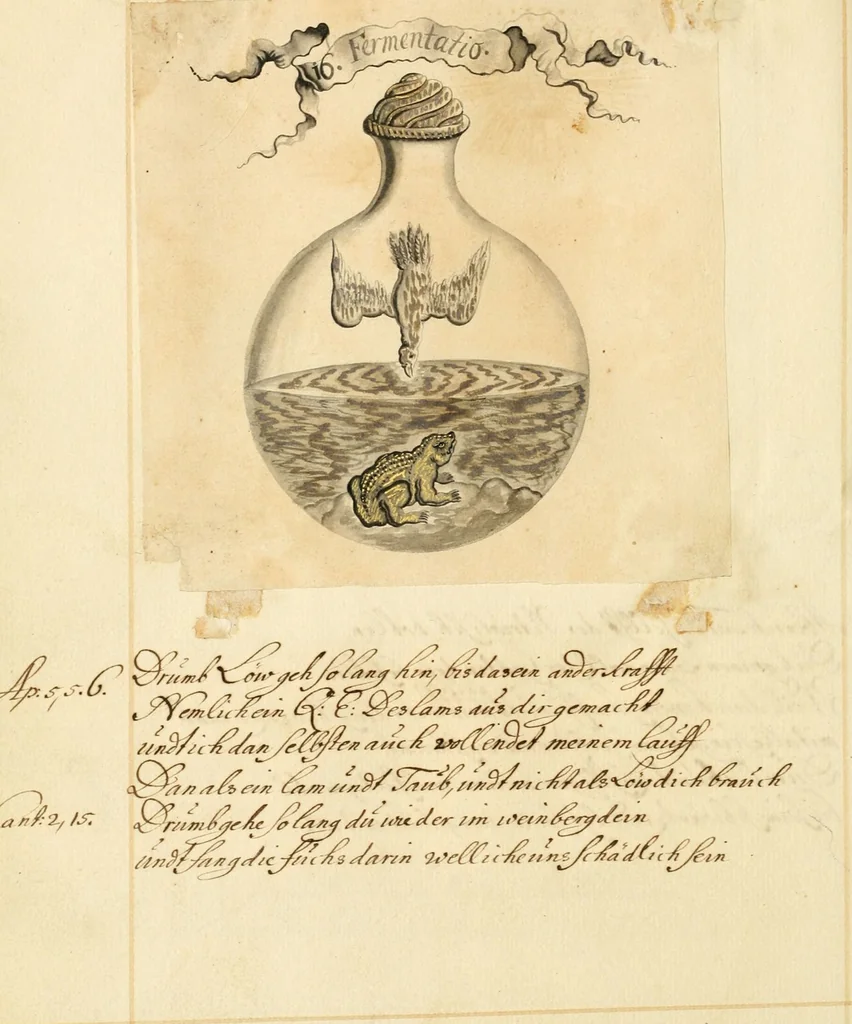 An illustration from Manly Palmer Hall collection of alchemical manuscripts, 1500-1825, 1600, leaf 74