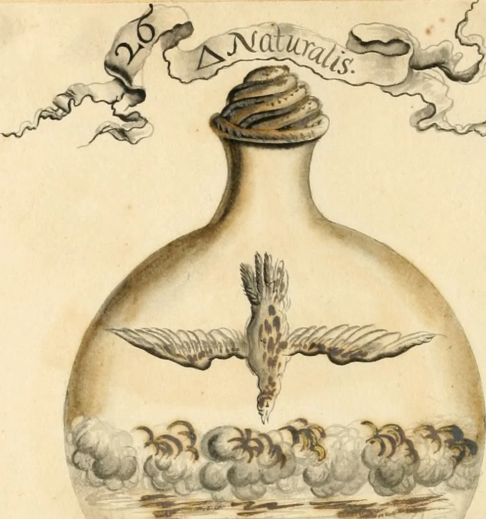 An illustration from Manly Palmer Hall collection of alchemical manuscripts, 1500-1825, 1600, leaf 83