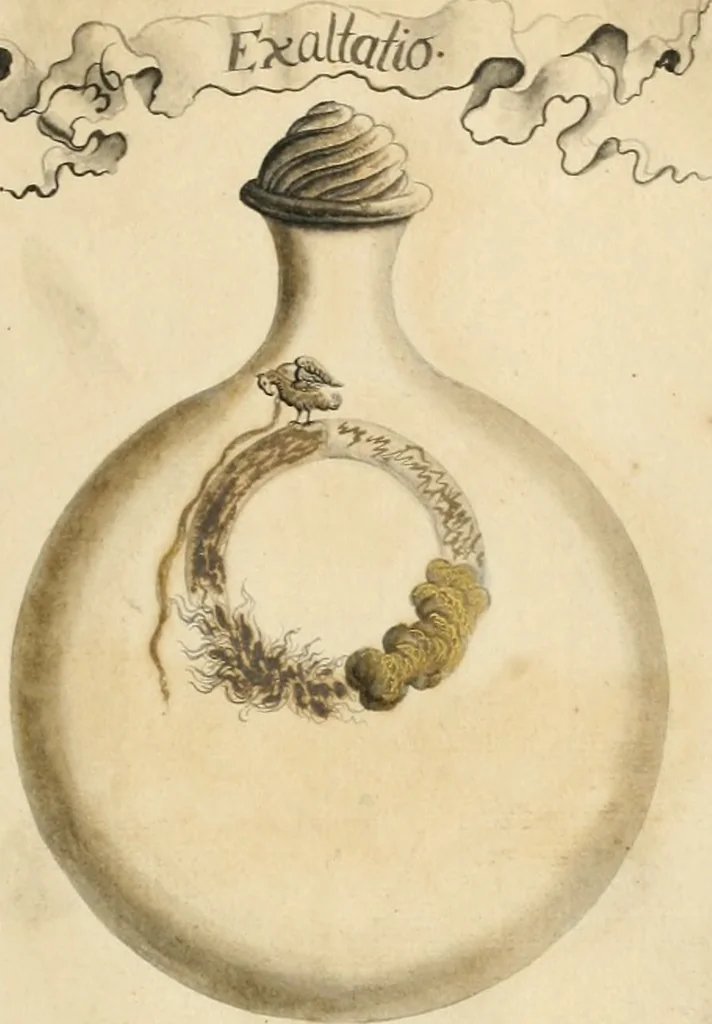 An illustration from Manly Palmer Hall collection of alchemical manuscripts, 1500-1825, 1600, leaf 88