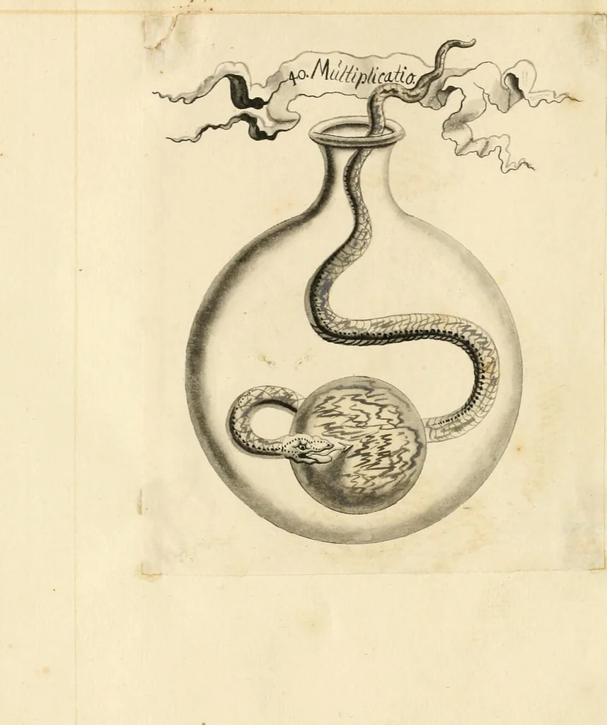 An illustration from Manly Palmer Hall collection of alchemical manuscripts, 1500-1825, 1600, leaf 14