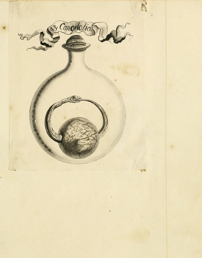 An illustration from Manly Palmer Hall collection of alchemical manuscripts, 1500-1825, 1600, leaf 17