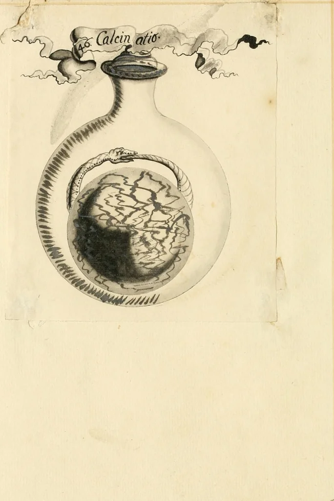 An illustration from Manly Palmer Hall collection of alchemical manuscripts, 1500-1825, 1600, leaf 20