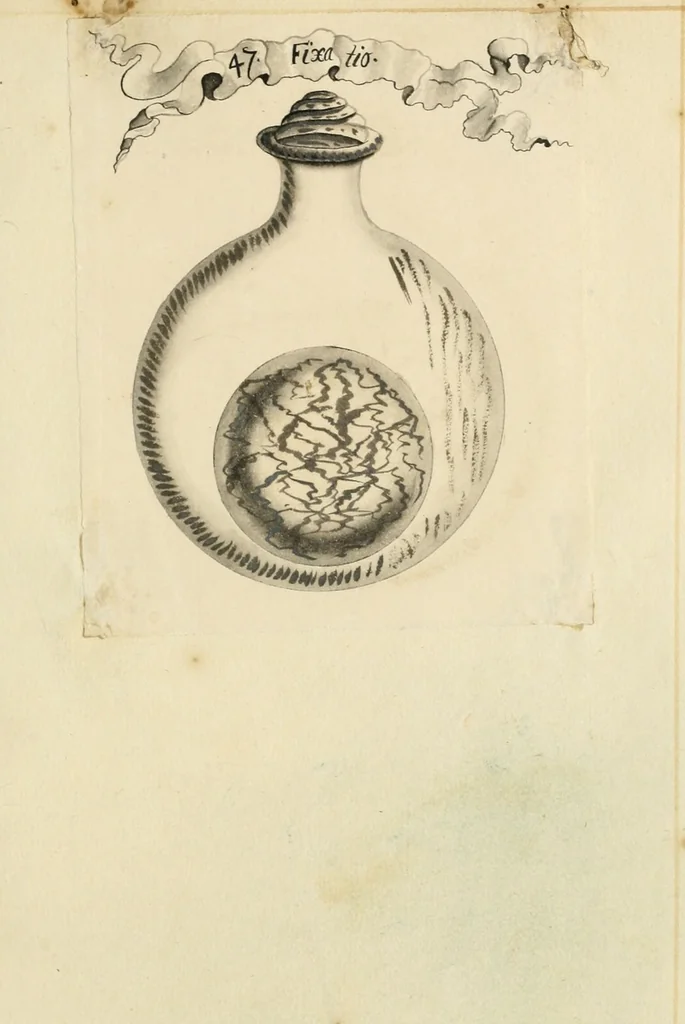 An illustration from Manly Palmer Hall collection of alchemical manuscripts, 1500-1825, 1600, leaf 21