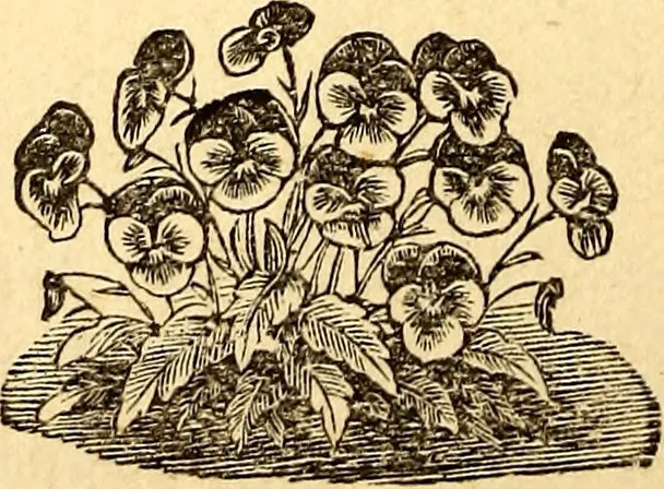 An illustration from Manners, culture and dress of the best American society, including social, commercial and legal forms, letter writing, invitations, &c., also valuable suggestions on self culture and home training, 1893, leaf 131