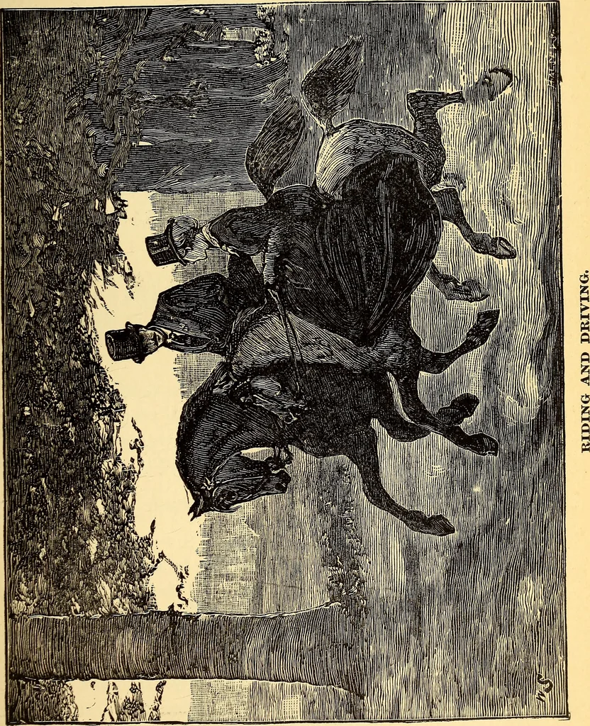 An illustration from Manners, culture and dress of the best American society, including social, commercial and legal forms, letter writing, invitations, &c., also valuable suggestions on self culture and home training, 1893, leaf 148