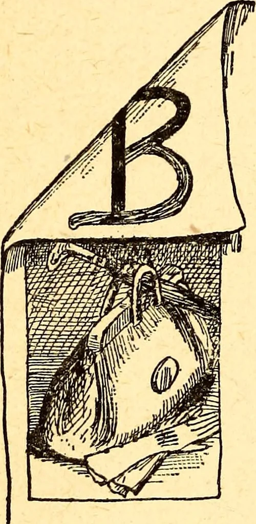 An illustration from Manners, culture and dress of the best American society, including social, commercial and legal forms, letter writing, invitations, &c., also valuable suggestions on self culture and home training, 1893, leaf 155