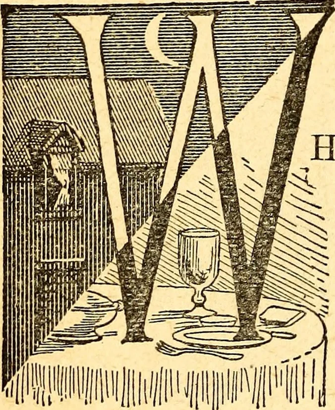 An illustration from Manners, culture and dress of the best American society, including social, commercial and legal forms, letter writing, invitations, &c., also valuable suggestions on self culture and home training, 1893, leaf 289