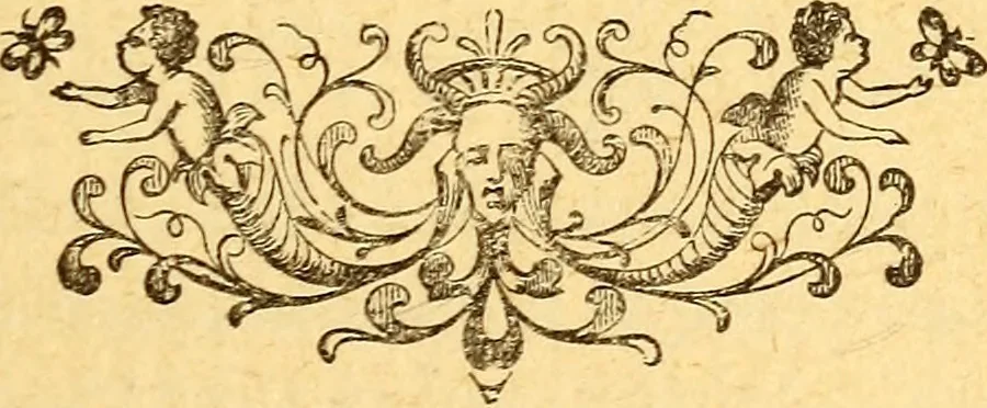 An illustration from Manners, culture and dress of the best American society, including social, commercial and legal forms, letter writing, invitations, &c., also valuable suggestions on self culture and home training, 1893, leaf 332