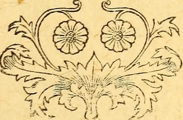 An illustration from Manners, culture and dress of the best American society, including social, commercial and legal forms, letter writing, invitations, &c., also valuable suggestions on self culture and home training, 1893, leaf 340