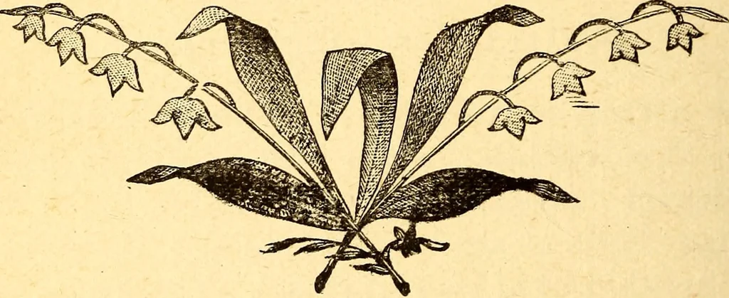 An illustration from Manners, culture and dress of the best American society, including social, commercial and legal forms, letter writing, invitations, &c., also valuable suggestions on self culture and home training, 1893, leaf 37