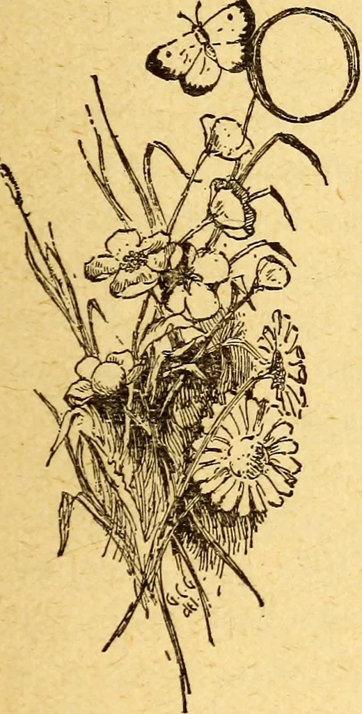 An illustration from Manners, culture and dress of the best American society, including social, commercial and legal forms, letter writing, invitations, &c., also valuable suggestions on self culture and home training, 1893, leaf 370
