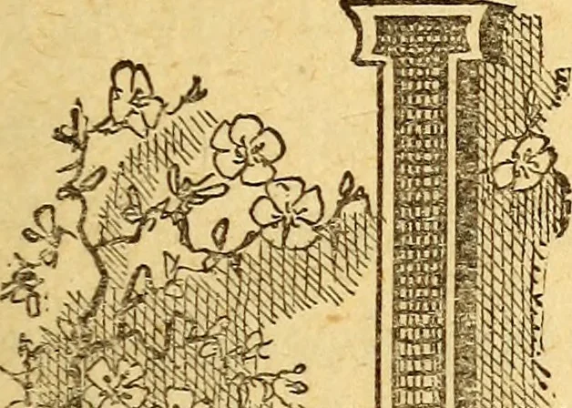 An illustration from Manners, culture and dress of the best American society, including social, commercial and legal forms, letter writing, invitations, &c., also valuable suggestions on self culture and home training, 1893, leaf 40