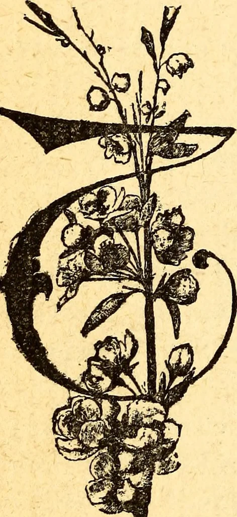 An illustration from Manners, culture and dress of the best American society, including social, commercial and legal forms, letter writing, invitations, &c., also valuable suggestions on self culture and home training, 1893, leaf 425