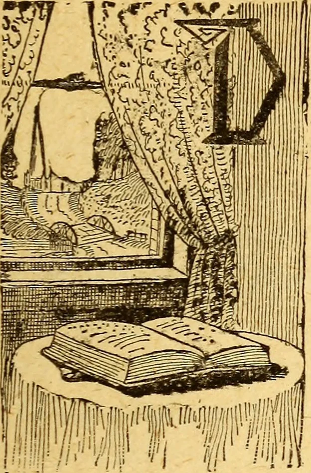 An illustration from Manners, culture and dress of the best American society, including social, commercial and legal forms, letter writing, invitations, &c., also valuable suggestions on self culture and home training, 1893, leaf 454