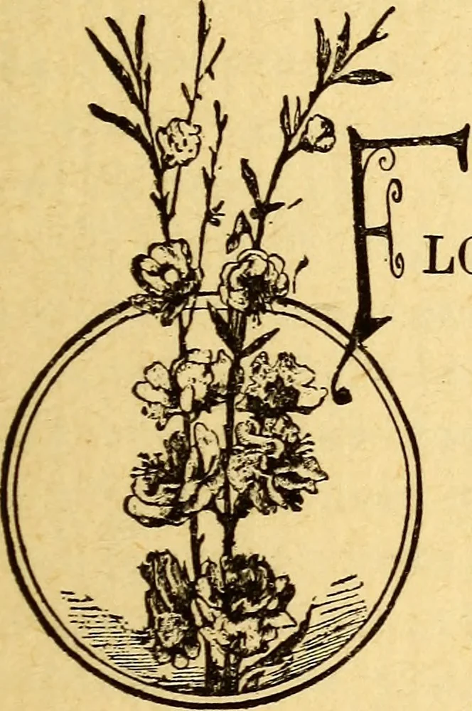 An illustration from Manners, culture and dress of the best American society, including social, commercial and legal forms, letter writing, invitations, &c., also valuable suggestions on self culture and home training, 1893, leaf 470