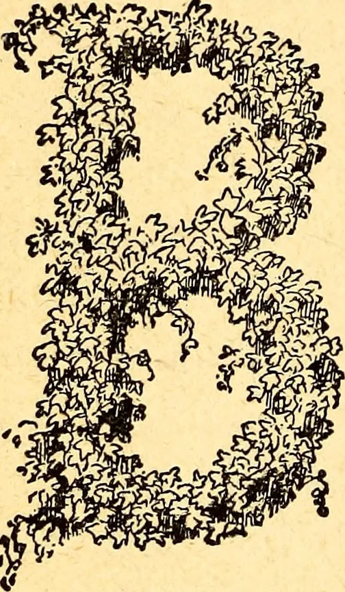 An illustration from Manners, culture and dress of the best American society, including social, commercial and legal forms, letter writing, invitations, &c., also valuable suggestions on self culture and home training, 1893, leaf 487