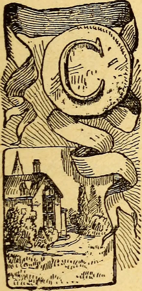An illustration from Manners, culture and dress of the best American society, including social, commercial and legal forms, letter writing, invitations, &c., also valuable suggestions on self culture and home training, 1893, leaf 492