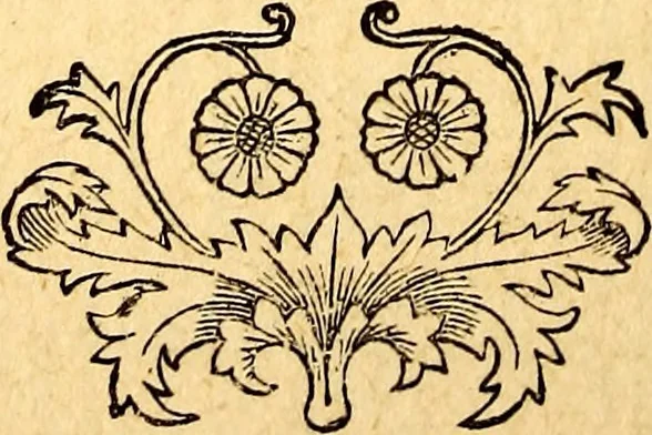 An illustration from Manners, culture and dress of the best American society, including social, commercial and legal forms, letter writing, invitations, &c., also valuable suggestions on self culture and home training, 1893, leaf 59