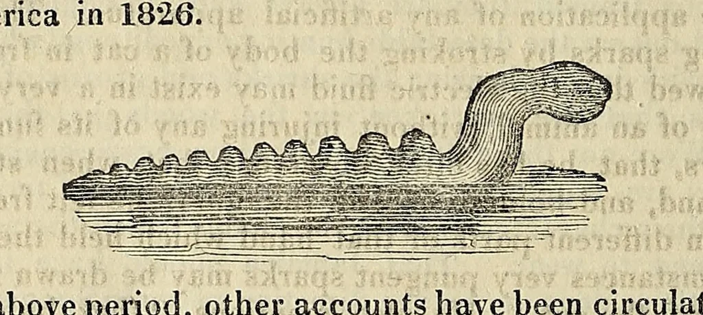 An illustration from The manners and customs of all nations; also, remarkable biographies, notable histories, eccentric sects, singular inventions, natural curiosities, mystical sciences, extraordinary buildings, wonderful animals,- &c., being a compendium of universal information .., 1827, leaf 772