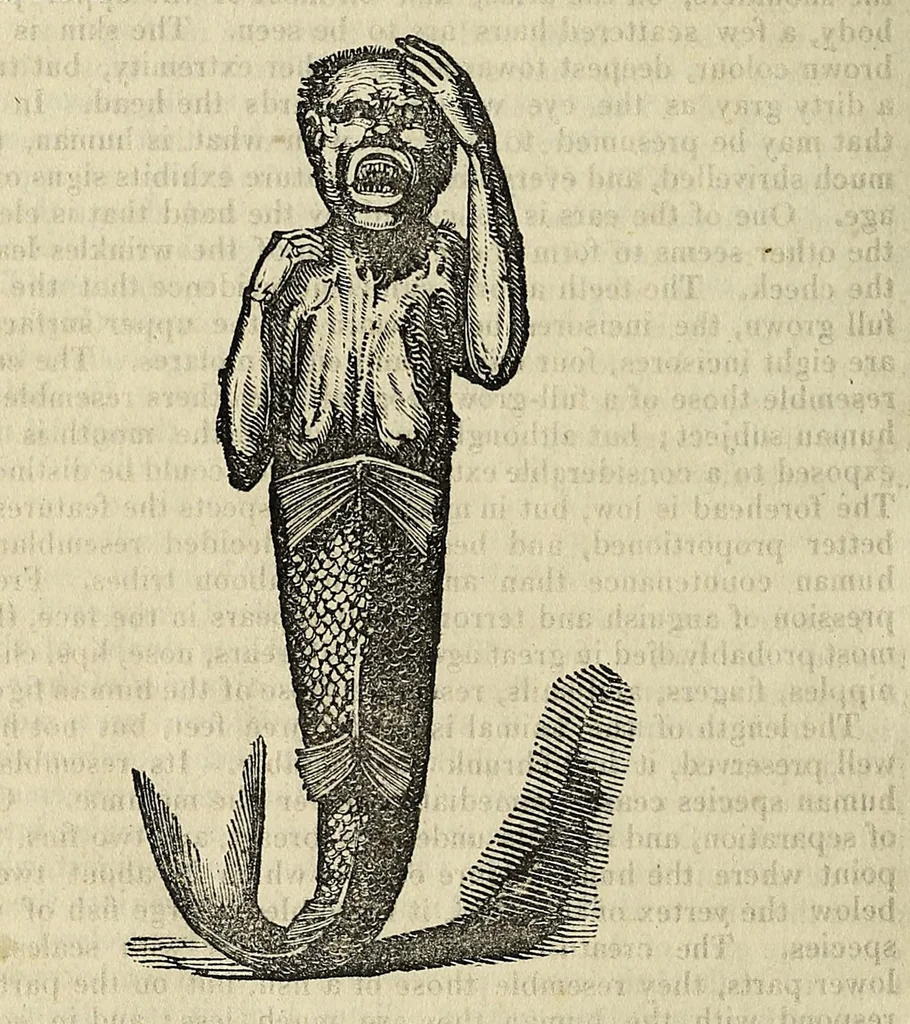 An illustration from The manners and customs of all nations; also, remarkable biographies, notable histories, eccentric sects, singular inventions, natural curiosities, mystical sciences, extraordinary buildings, wonderful animals,- &c., being a compendium of universal information .., 1827, leaf 790